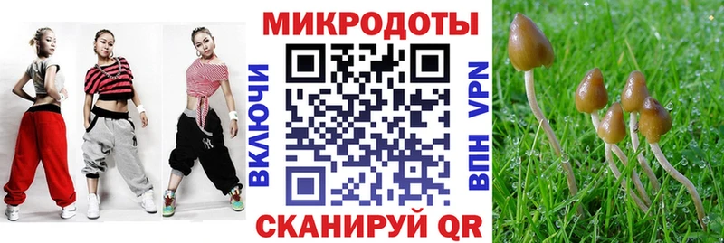 Псилоцибиновые грибы Magic Shrooms  цена   Беломорск 